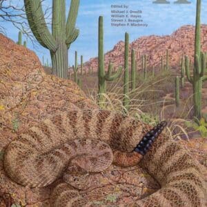 A painting of a rattlesnake in the desert.
