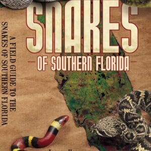 A field guide to the snakes of southern florida