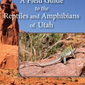 A Field Guide to the Reptiles & Amphibians of Utah