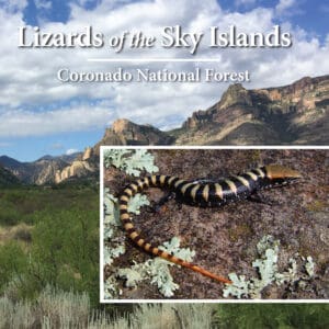 Lizards of the Sky Islands  Coronaado National Forest