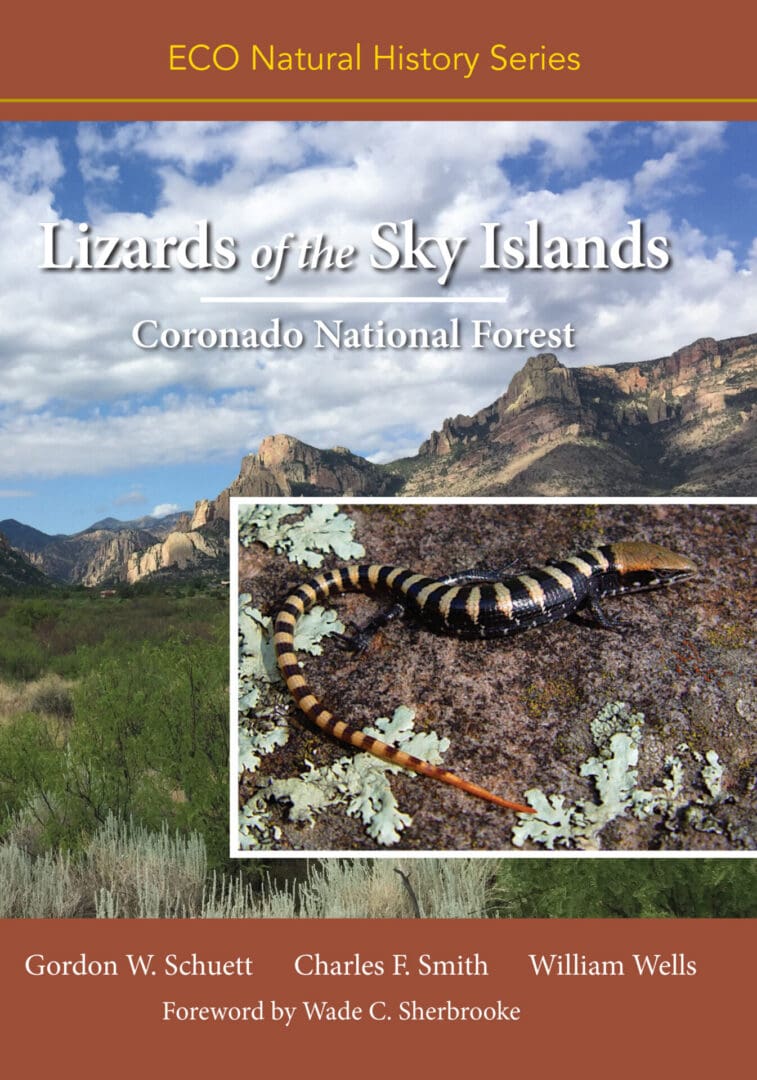 Lizards of the Sky Islands Coronaado National Forest